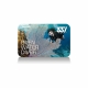 Open Water Diver (OWD) Kompaktkurs inkl. Spezialkurs - Start: 19.06.25