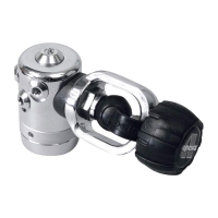 Apeks - DS4 - 1. Stufe - INT