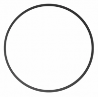 Ikelite - 0132.59 Ersatz O-Ring für DSLR & spiegellose Gehäuse (Type 1)