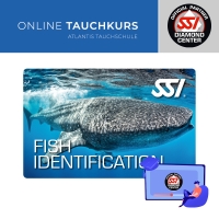 Fish Idenfication - SSI Specialty -  Online Tauchkurs