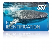 Fish Idenfication - SSI Specialty - Online Tauchkurs
