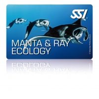 Manta & Ray Ecology - SSI Specialty -  Online Tauchkurs