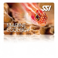 Marine Ecology - SSI Specialty -  Online Tauchkurs