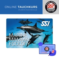 Marine Mammal Ecology - SSI Specialty -  Online Tauchkurs