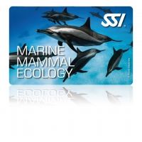 Marine Mammal Ecology - SSI Specialty -  Online Tauchkurs