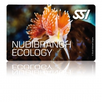 Nudibranch Ecology - SSI Specialty -  Online Tauchkurs