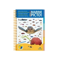 Pictolife- Bestimmungsbuch - Indischer Ozean / Rotes Meer
