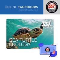 Sea Turtle Ecology - SSI Specialty -  Online Tauchkurs