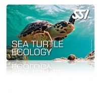 Sea Turtle Ecology - SSI Specialty -  Online Tauchkurs
