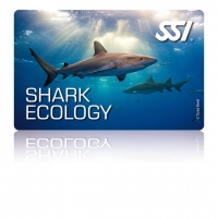 Shark Ecology - SSI Specialty -  Online Tauchkurs